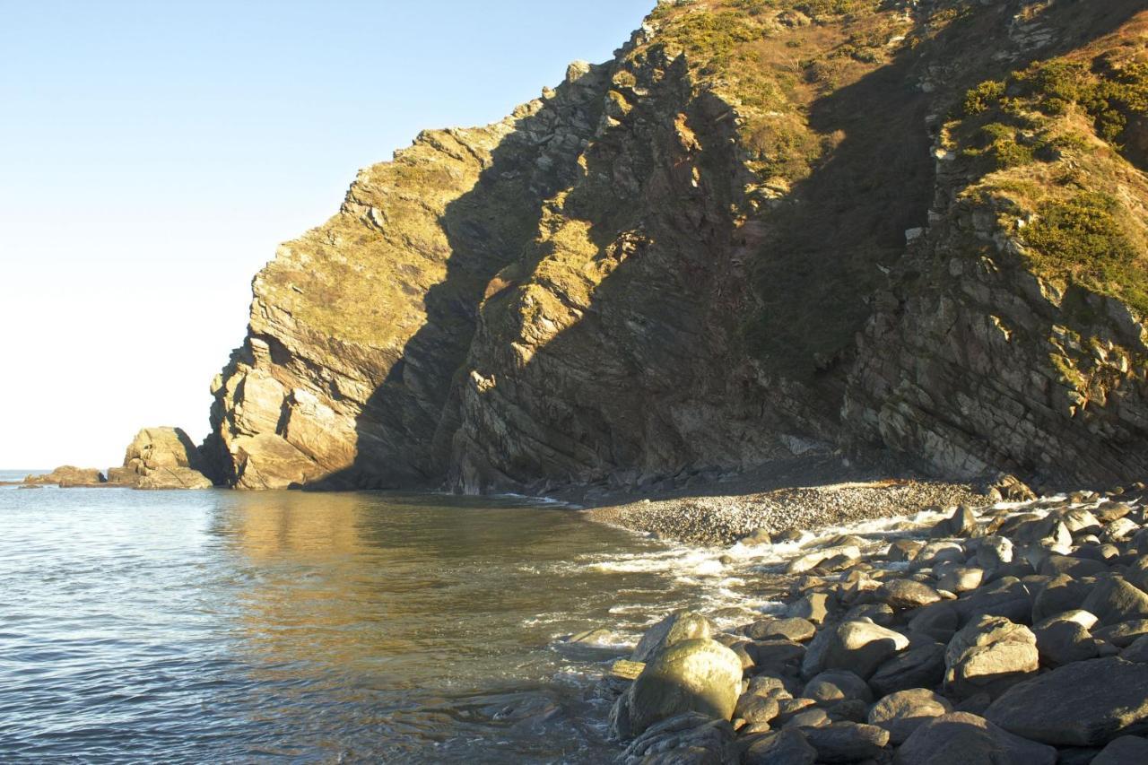 Kittiwake Cottage Браунтън Екстериор снимка